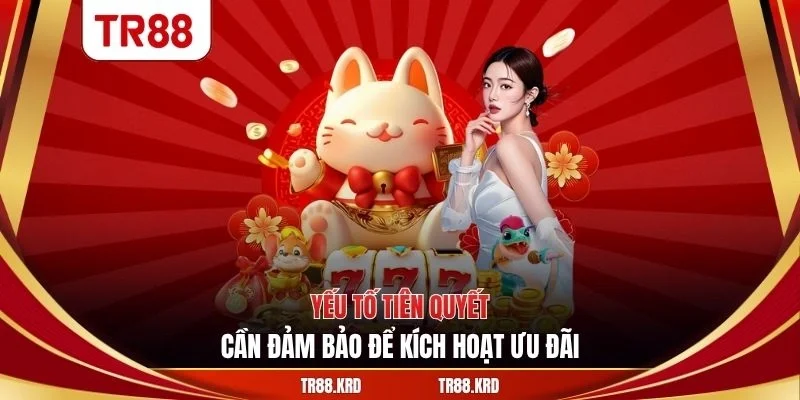 Yếu tố tiên quyết cần đảm bảo để kích hoạt ưu đãi