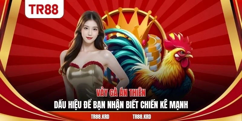 vảy gà án thiên